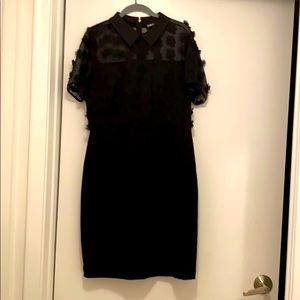 Karl lagerfeld women dress size 10